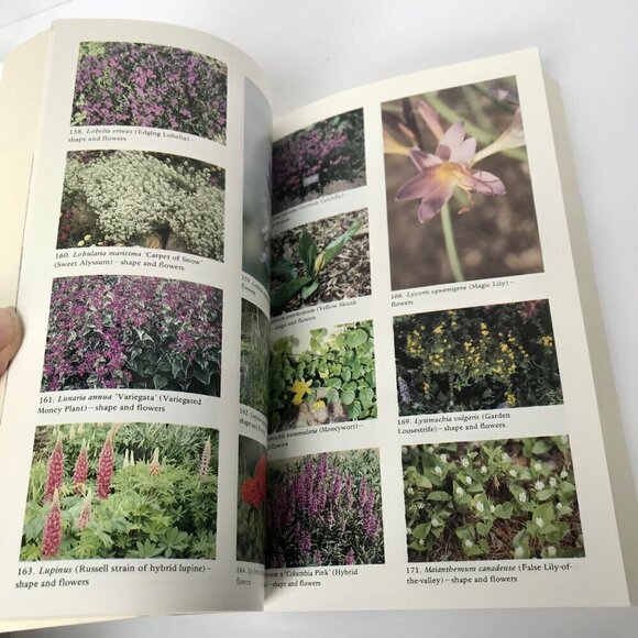 Flowers for Northern Gardens Book by Leon Snyder NICE! Gardening - Picture 5 of 7
